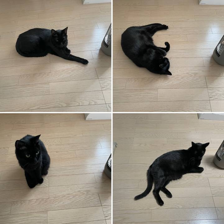 5cf937f1 9aed 40a8 be6b 2053d5d84eae 1763383230079