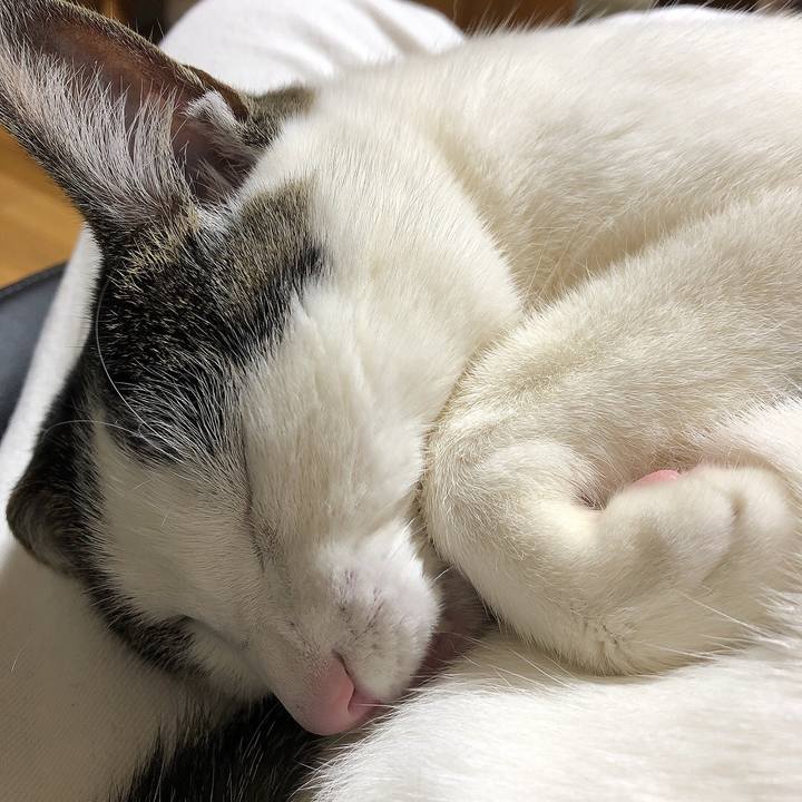 5cf951a1 a12c 4a71 a702 8ef3cb0adcb4 1648302787267