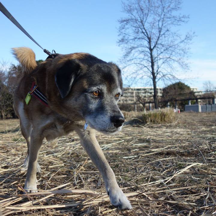 5cf98b41 c1a7 40df 8184 415c65426ff9 1546215791096