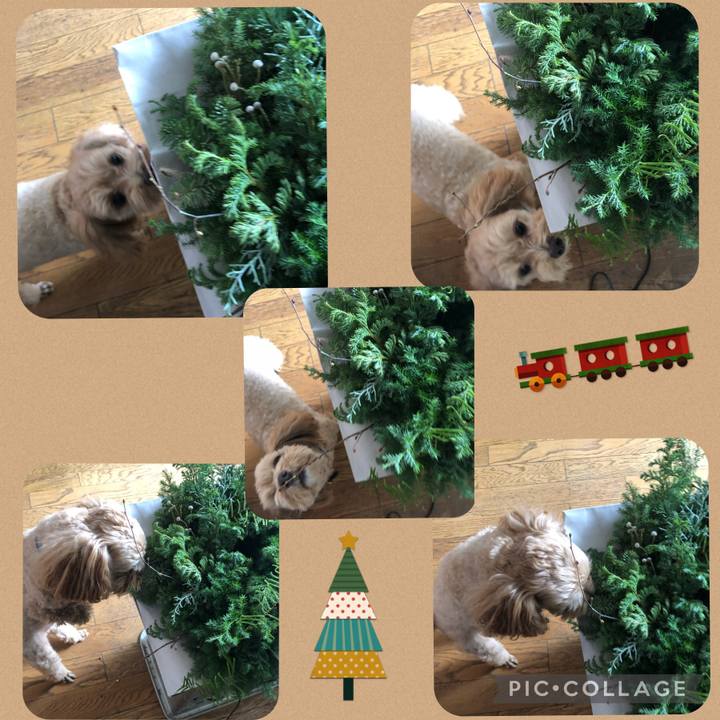 5cf9be0c 6a07 4834 a227 a7b7478916ce 1670064173412