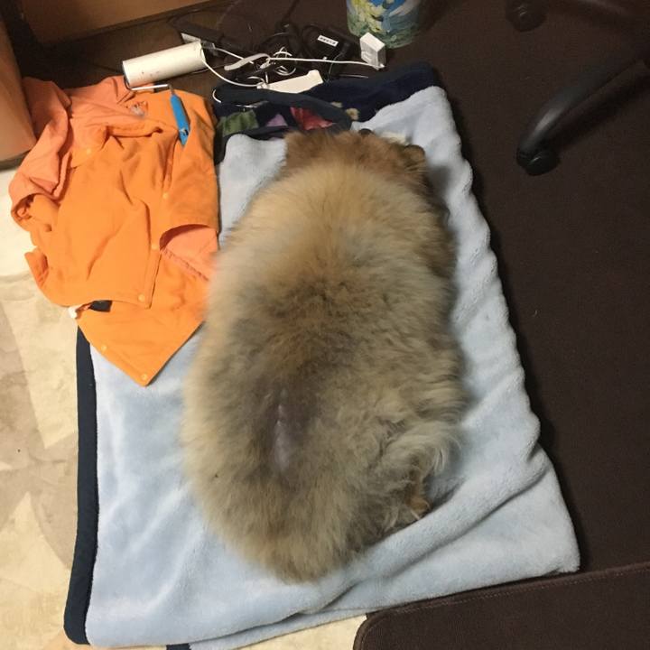 5cf9cff7 743d 4398 922a 1ff7b25350ce 1564919389133