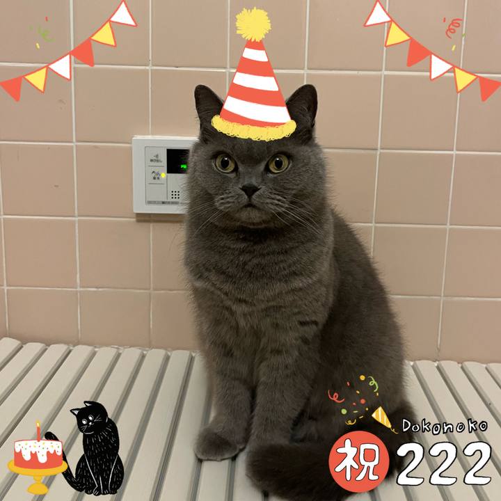 5cf9d1a0 af13 49b9 bb76 a7f4728a9a6a 1645529773865