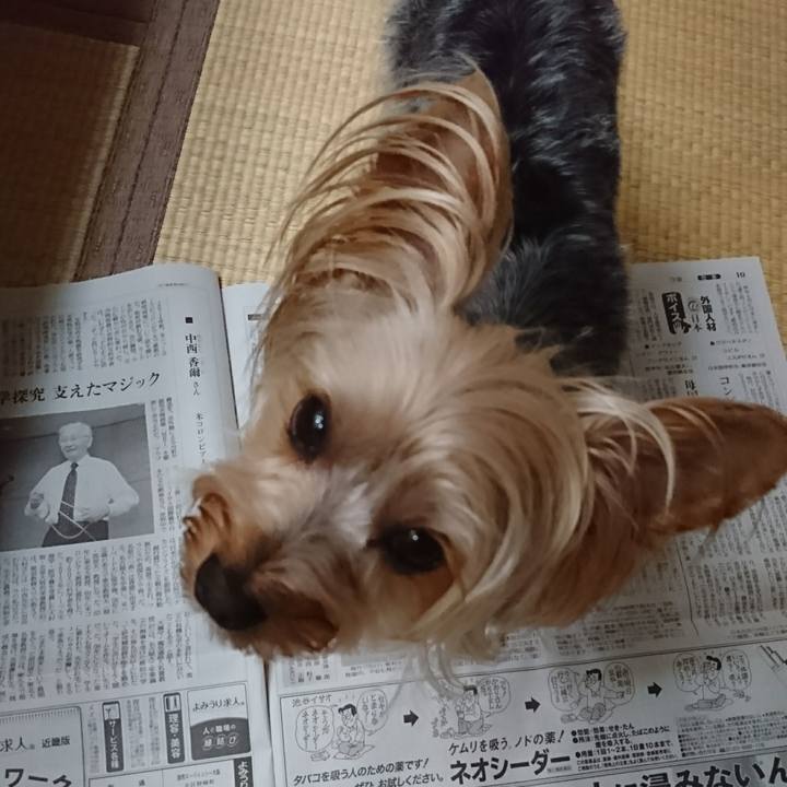 5cfa0af9 a405 46b6 858d 3006335c1992 1560641169395