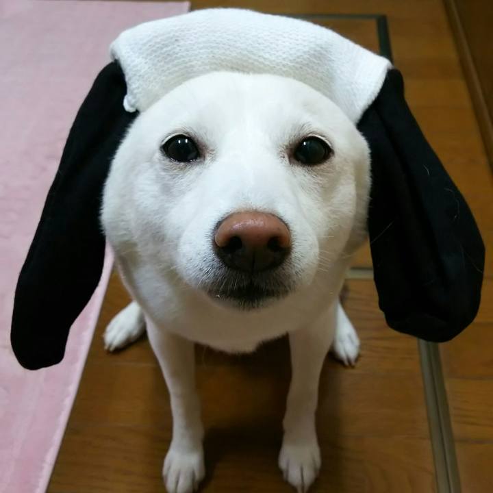 5cfa13d5 a26a 4761 a058 438a97f5fa25 1539169729837