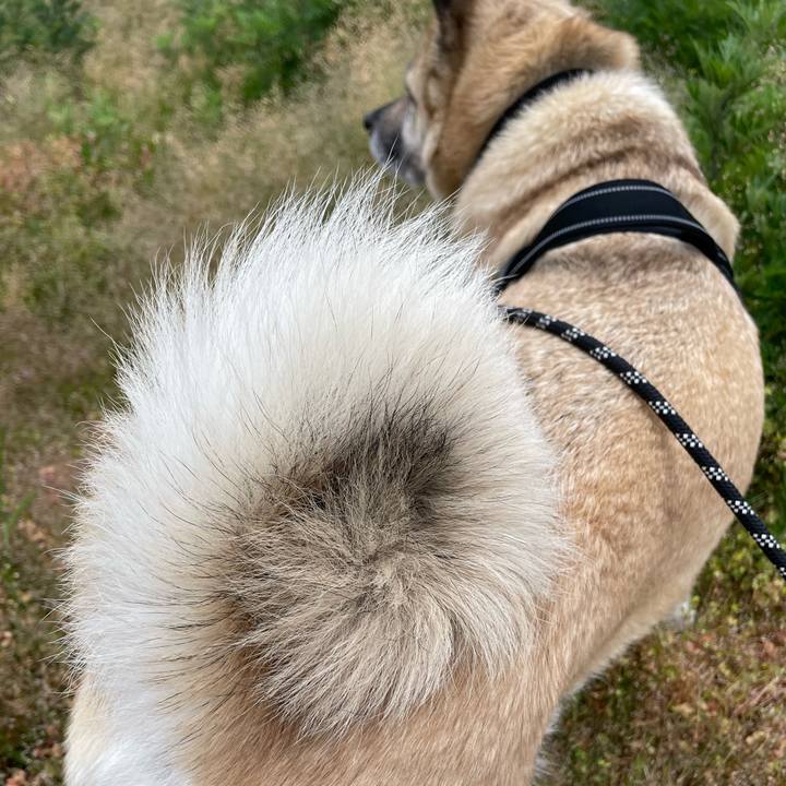 5cfa2718 f1a6 4629 9abd d831d86c8d3b 1716466481323