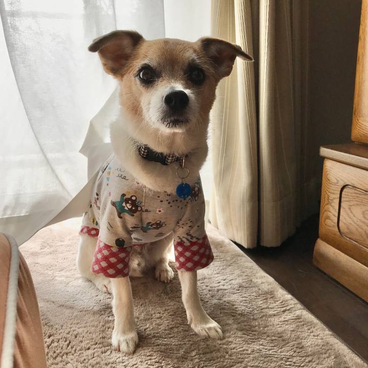 5cfa2bd4 7903 4ea7 87e1 eb3ef7a52e28 1615251709413