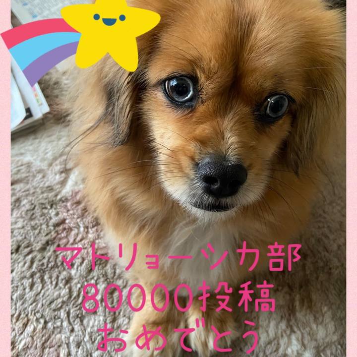 5cfa32b4 500e 46e8 8cc6 767a9bbd6c84 1610361297035