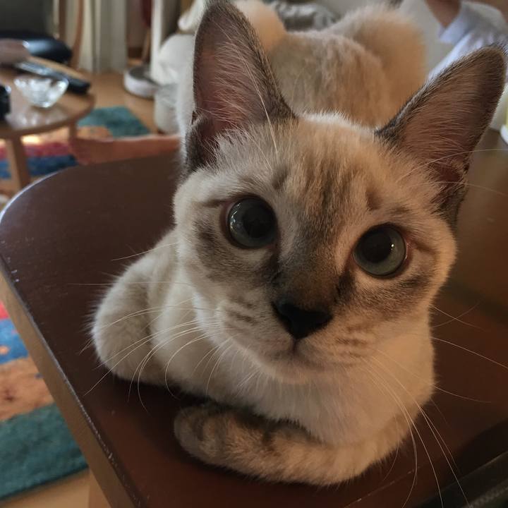 5cfa38a8 463c 40f7 9d17 ee76f0b95573 1549197899268