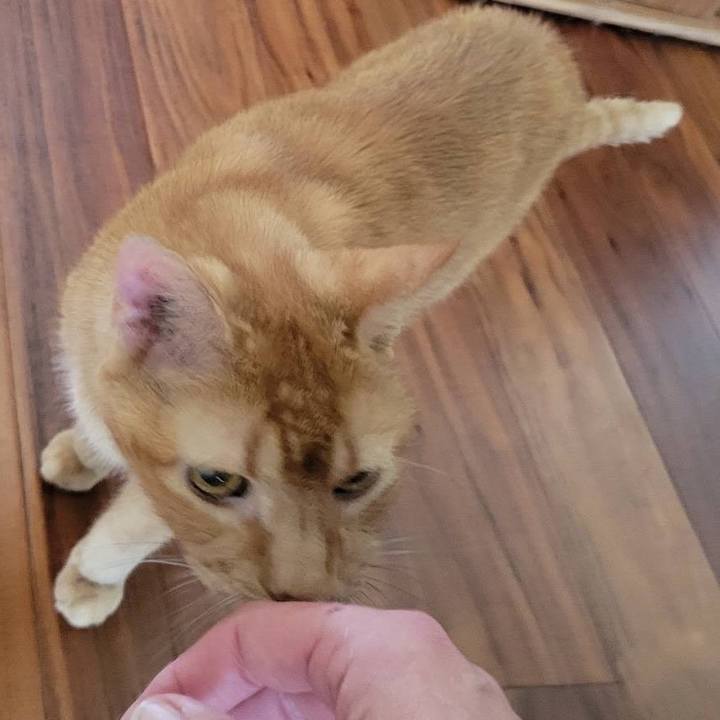 5cfa4665 680d 4c23 be5a 53ec7513a6bb 1743909132296