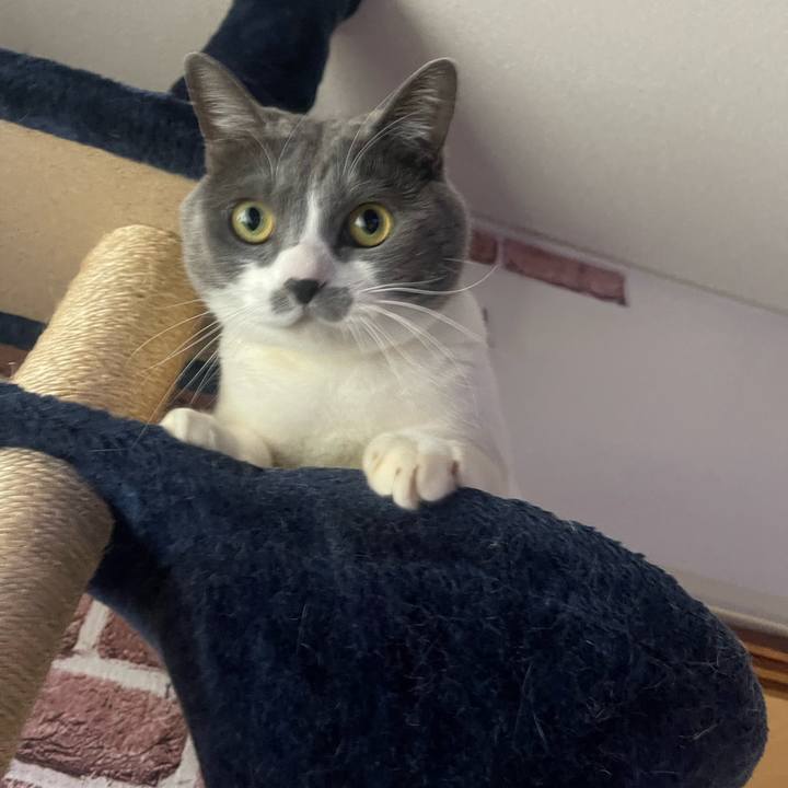 5cfa572e 786b 4de5 8a01 a16fb3fa7f2f 1705719201818