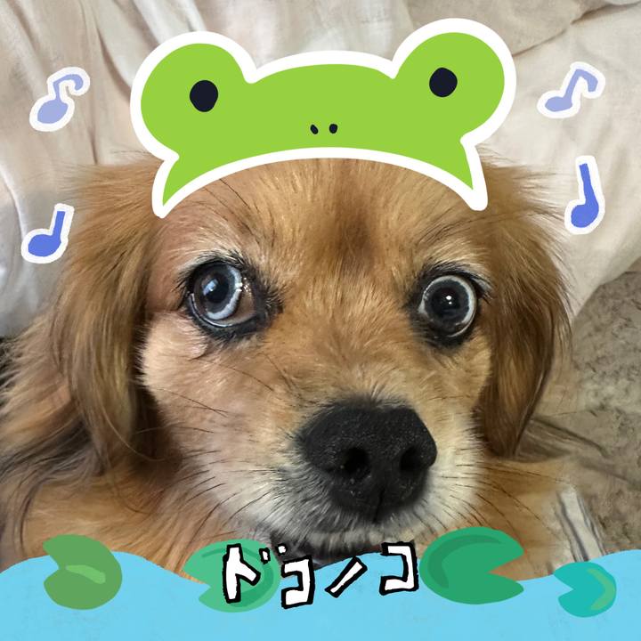 5cfa7521 c84e 43a3 9c8f 273f201f64df 1717707446921