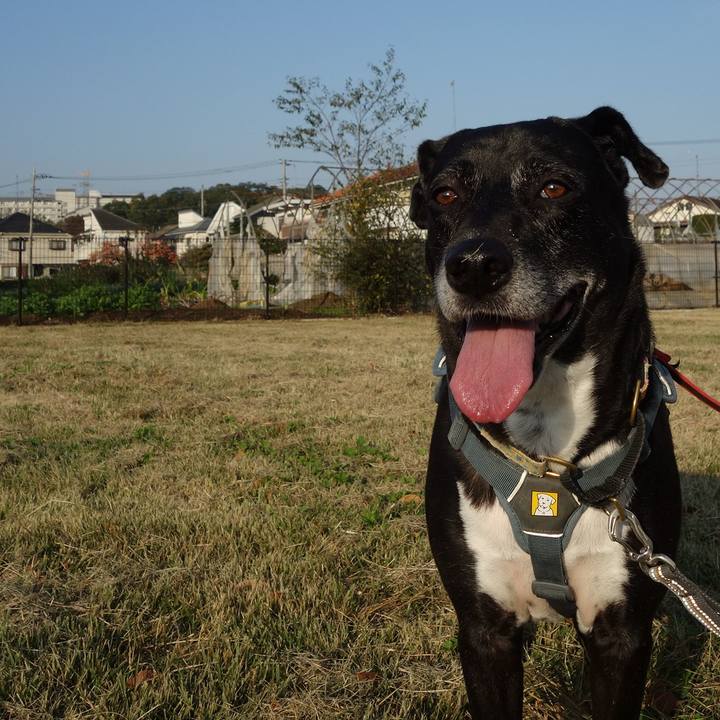 5cfa8a8e 370d 474f 9d8f 15133d45f34d 1731545261254