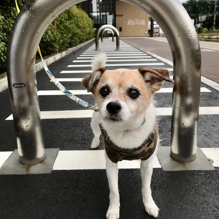 5cfac388 8462 4487 b007 db44892403c7 1658013043118