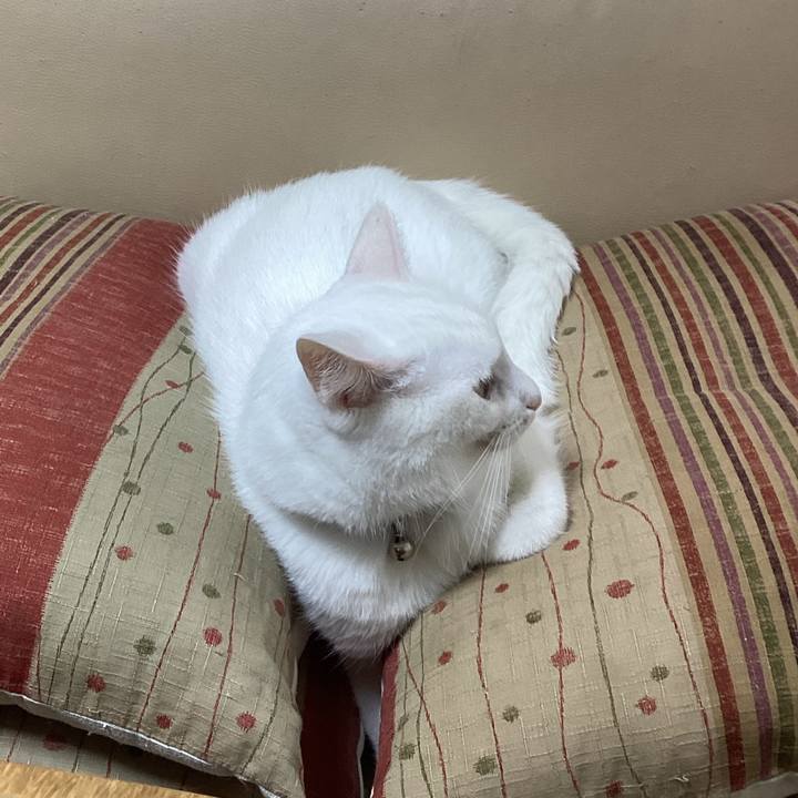 5cfacc61 e1b8 48a6 b2aa 895c4c97b8d7 1665445616702