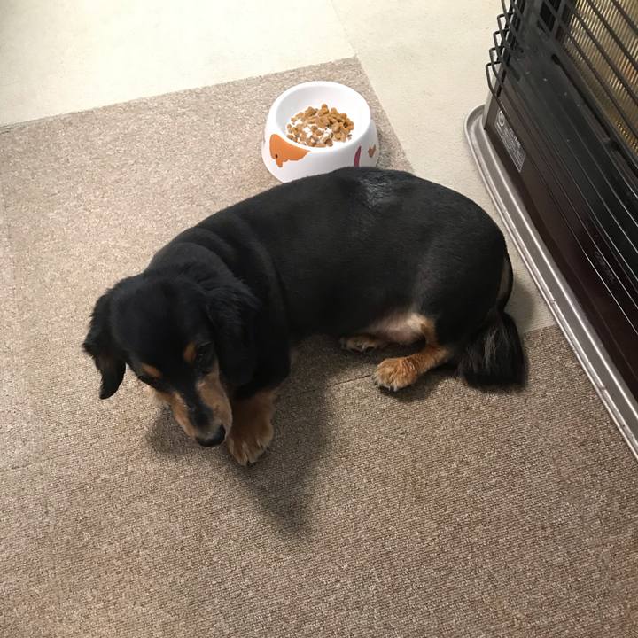 5cfb174a fccf 4378 966b f84c7faf7de4 1540850209712