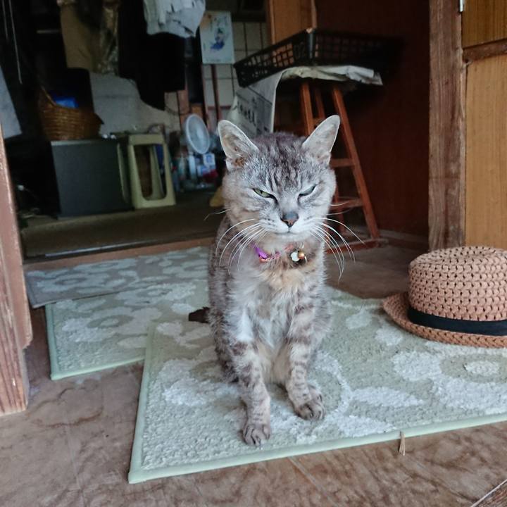 5cfb5144 1509 4ab2 8a90 545276bc2a49 1593681826558