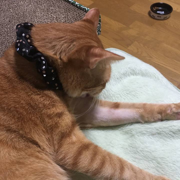 5cfb84a6 be97 4cbd a042 c7bc4234b8c9 1539092448296