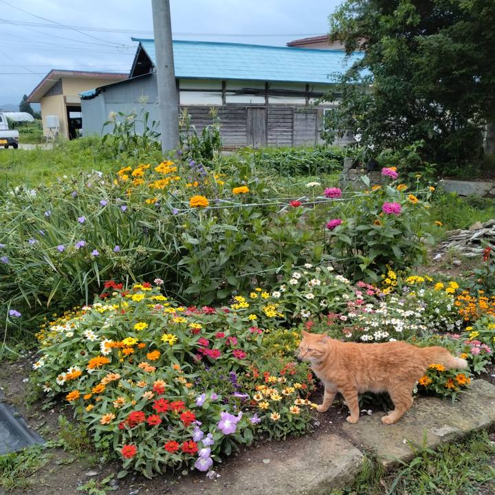 5cfbc06f a73a 402a 9bae 44a14b681564 1720561607107