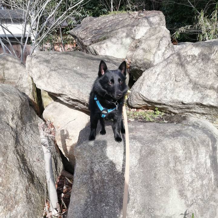 5cfbdbca adeb 45c3 b673 57e439ddf83c 1647988680298