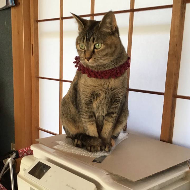 5cfc2095 f2b3 4c58 9da9 3d6ad7287f7d 1614218017342