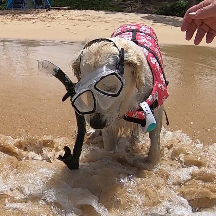 5cfc3c6e 5293 49b8 880c 0e74a9d82176 1565402992976