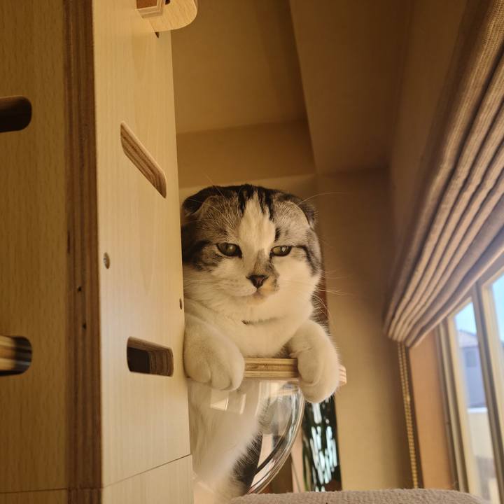 5cfc7962 a0ed 4f0e 9bb7 cbea9ef8022e 1638436946235