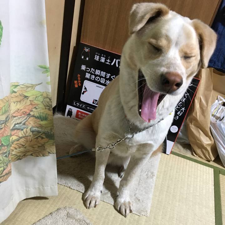 5cfc7c53 eadc 4640 ae9f e4687f8c6192 1525333512745