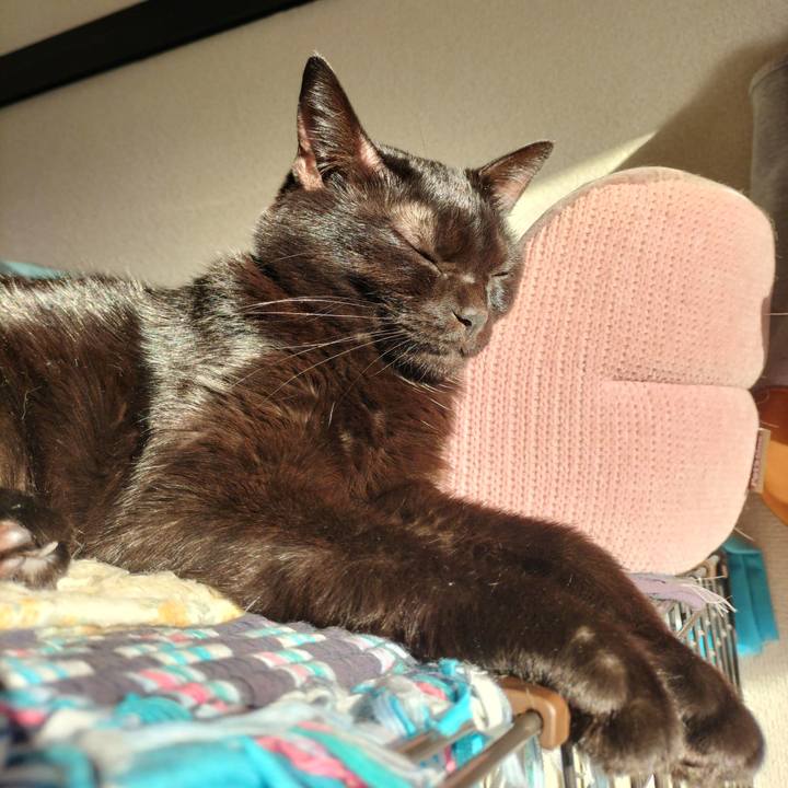 5cfc7df7 f090 48fa b2ee 03fc3586299d 1637275279742