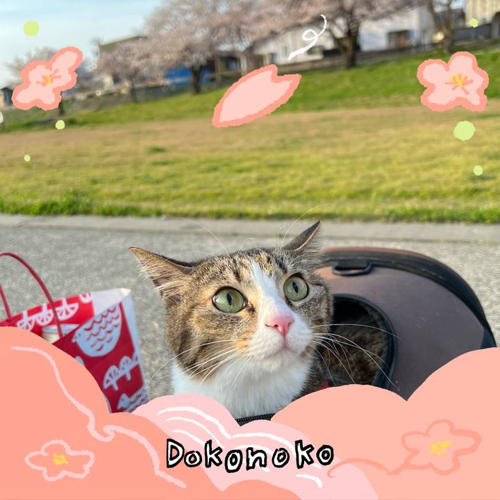 5cfc8b50 3c67 438f b989 8991f2f7c49f 1775186892867