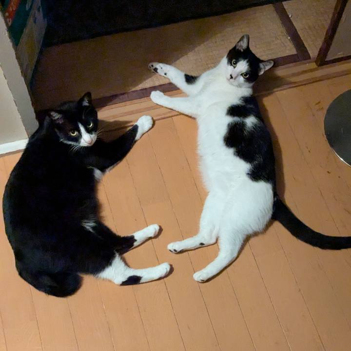 5cfc9ab2 32d9 46d4 9734 5f25db2c1a2b 1753335369644