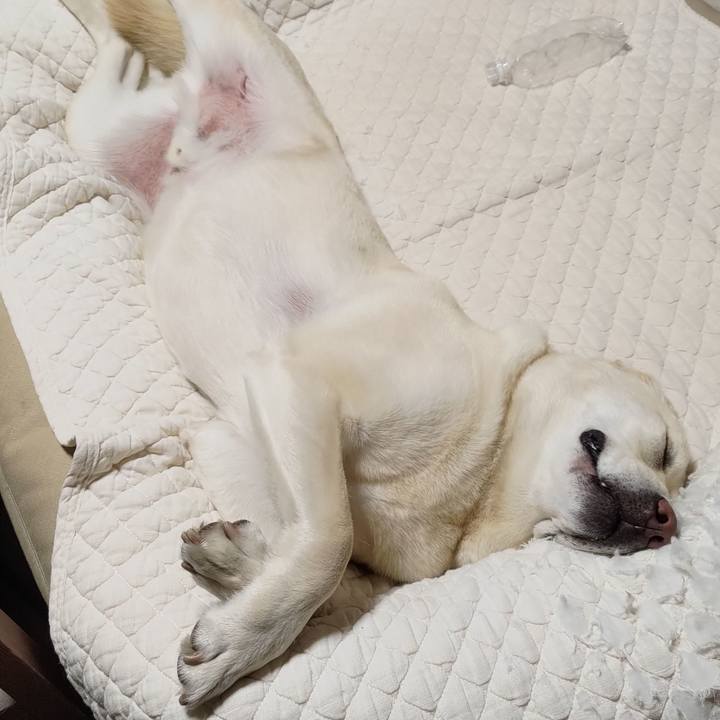 5cfcc275 0ad4 4e72 88c3 2421f3a1f626 1652892871171