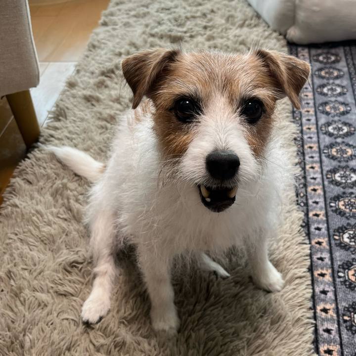 5cfcf951 fa40 4849 8cfc 15eabb38179b 1762046599716