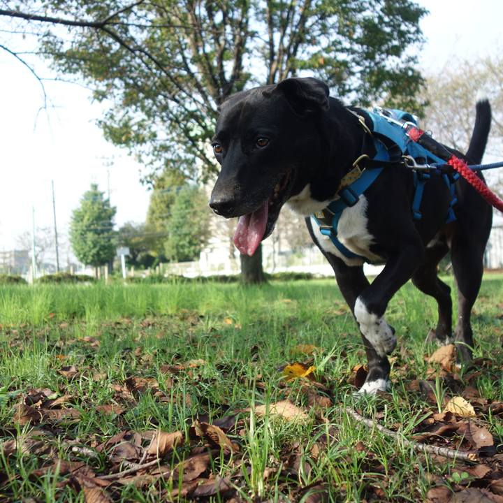 5cfcfd35 2625 4872 9feb c081daa25def 1634258171407