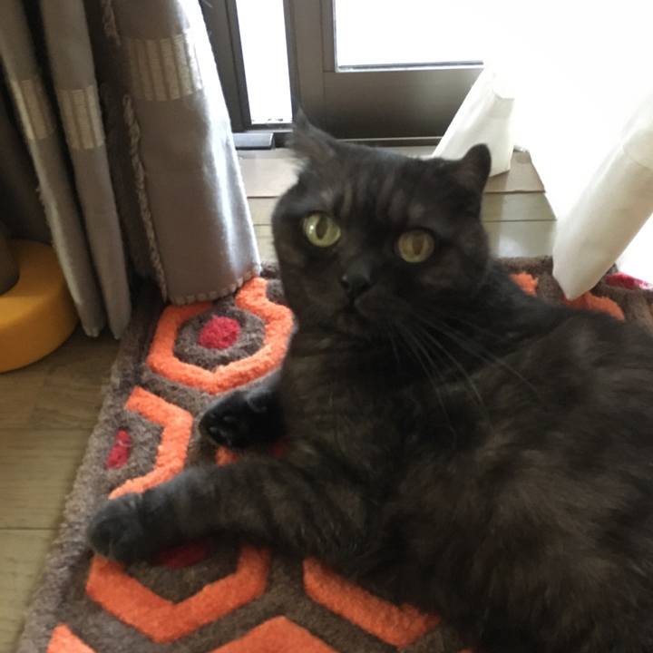 5cfcff04 068d 408a 80d7 c9ed7e96f7aa 1569974744690