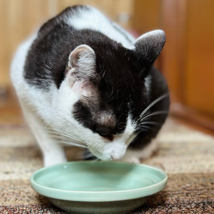 5cfd1288 b38a 44cd a11f 182ff8591a74 1667700834216