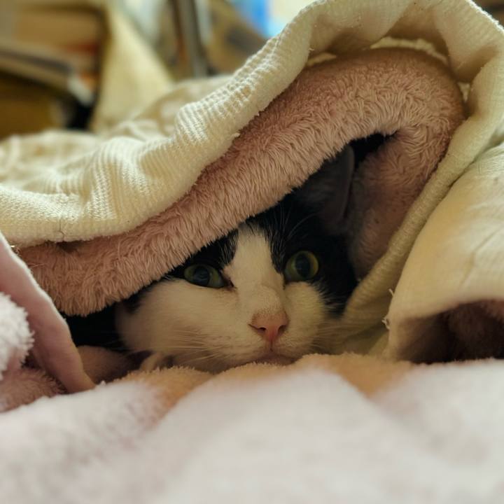 5cfd2041 917d 424e 9f91 5153a100eefb 1699580521151