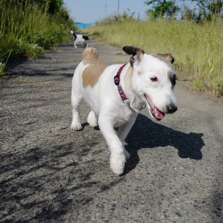 5cfd40ca 379e 4348 8661 01a683a49388 1558582551347