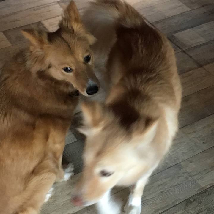 5cfd4241 0f36 4578 b1eb c4390213eab4 1553336472327