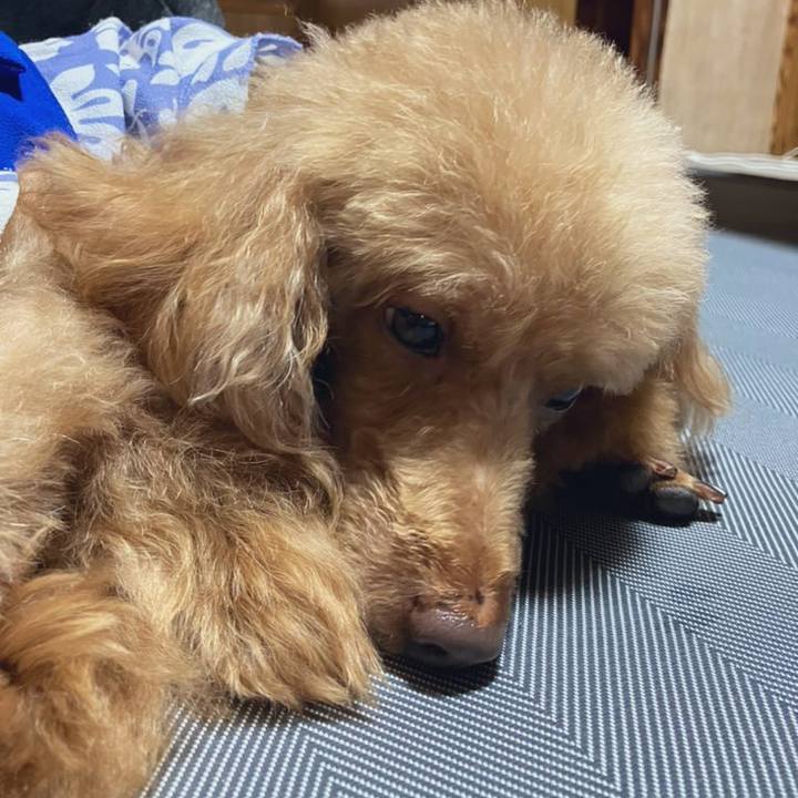 5cfd4413 894c 4d41 b278 8b8764a1e708 1667695575355