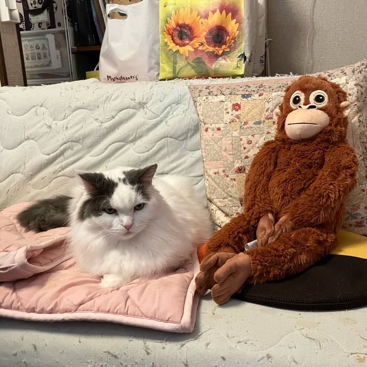 5cfd44e6 74b4 4bd1 bedf 6fddb33197e3 1774926178654