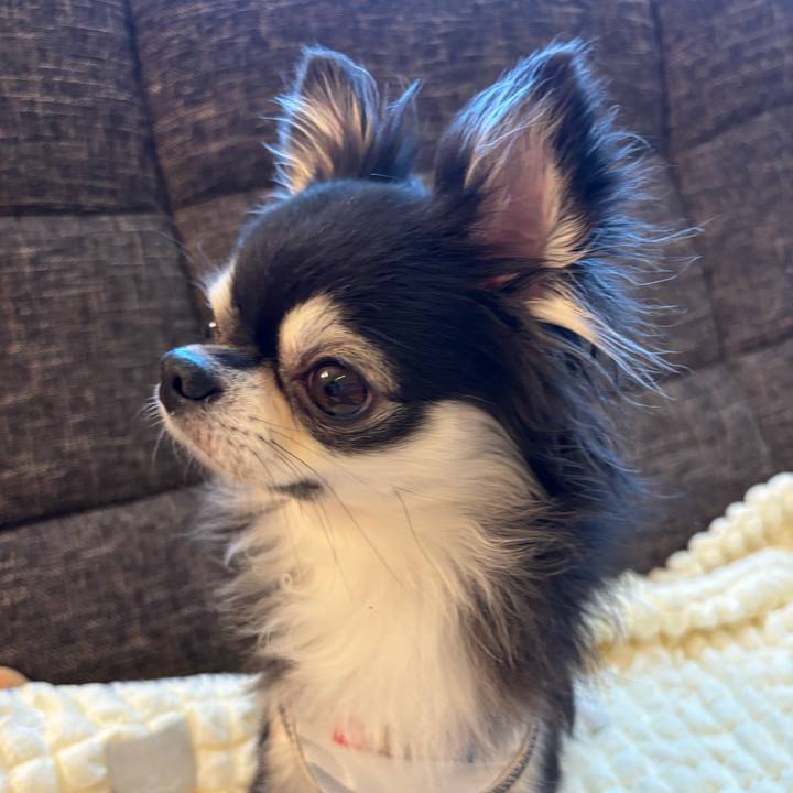 5cfd46f7 26c4 442a ad97 1d0e02ee77dc 1723911694114