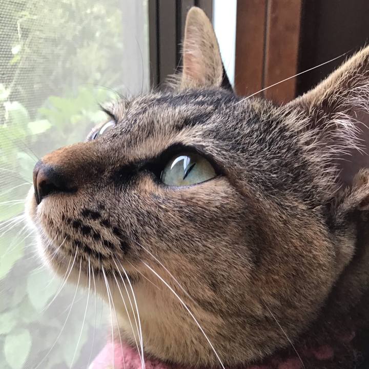 5cfd49c3 3430 4311 9d19 2a792a66fbe9 1593590190757