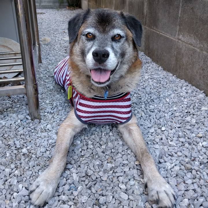 5cfd716e 8a44 4e6f 9209 a8cac30bbe5c 1534893799477