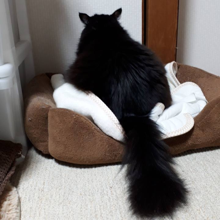 5cfdbd91 806c 4753 b1eb 76462ba3d0b1 1563202557486