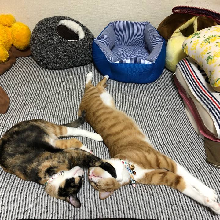 5cfe049a c42b 48d7 8083 87844661efc0 1569765785406