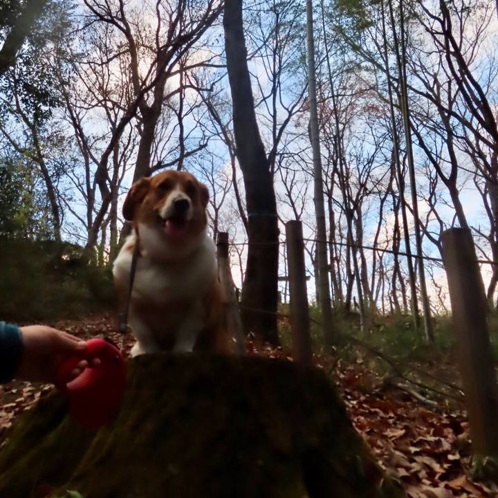 5cfe1ffa 36fd 4077 9968 44cbe2a42d1a 1640651420795