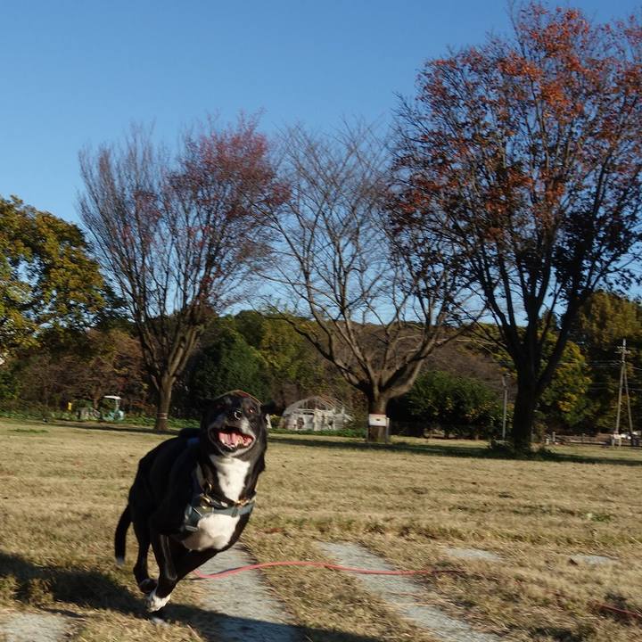 5cfe4022 eeda 45c2 a23b 548e1634acc1 1732322704655