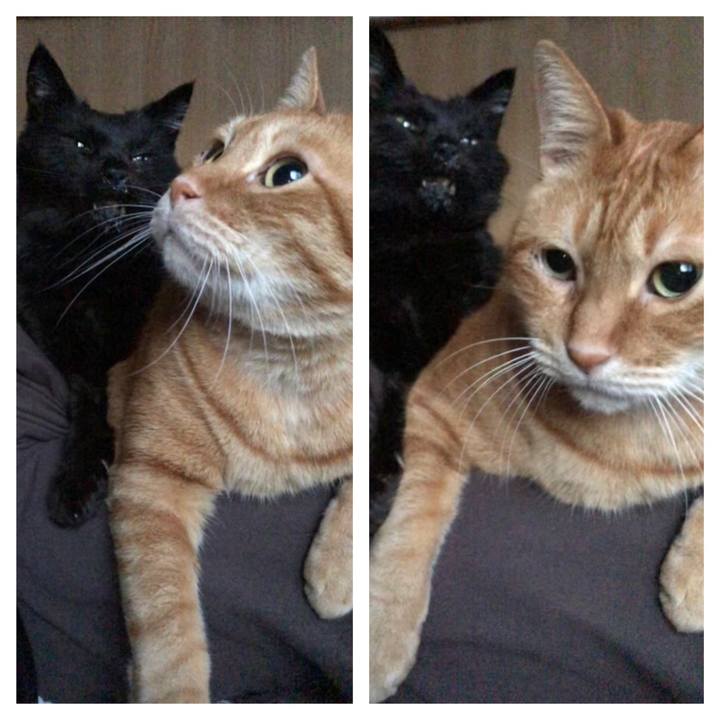 5cfe5658 19aa 4440 86ed 450bbfa5c9d8 1647032242106