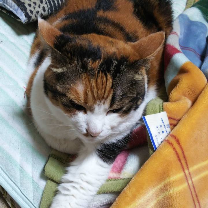 5cfe6a93 b7bb 46ba 81ac d1066f91824d 1537998424404