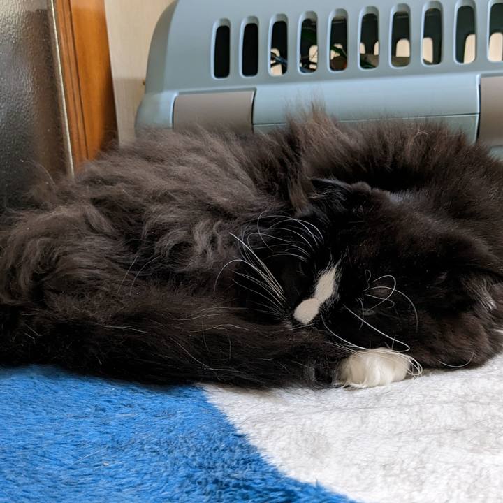 5cfe89e3 594a 42e6 a51a 182a241e0727 1672726014412